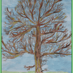 DSCF4374-150x150 L'albero spoglio